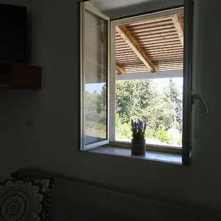 House *